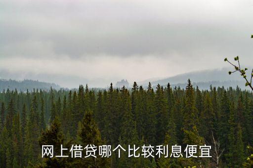 網(wǎng)上借貸哪個(gè)比較利息便宜