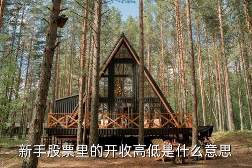股票開高低什么意思是什么，請問股票開盤時常說的高開低開是什么意思啊