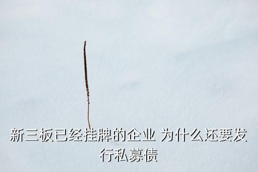 新三板已經(jīng)掛牌的企業(yè) 為什么還要發(fā)行私募債