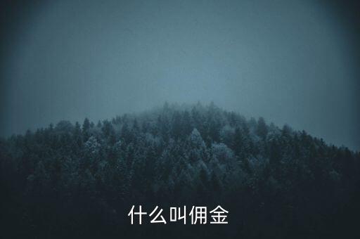 手續(xù)費(fèi)和傭金什么意思，白銀手續(xù)費(fèi)傭金是什么意思