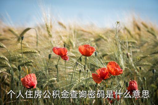 個(gè)人住房公積金查詢密碼是什么意思
