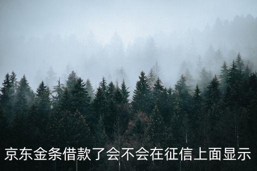 京東金條借款了會(huì)不會(huì)在征信上面顯示