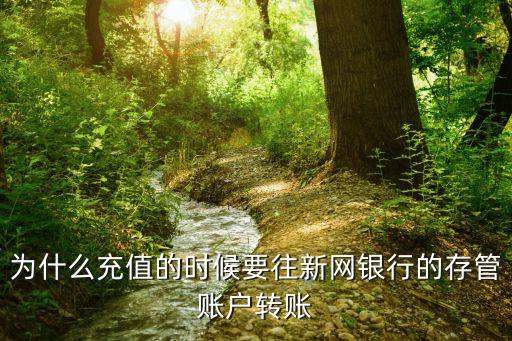 新存管是什么意思，為什么充值的時(shí)候要往新網(wǎng)銀行的存管賬戶轉(zhuǎn)賬