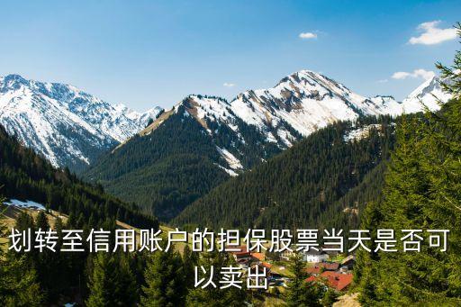 劃轉(zhuǎn)至信用賬戶的擔保股票當天是否可以賣出