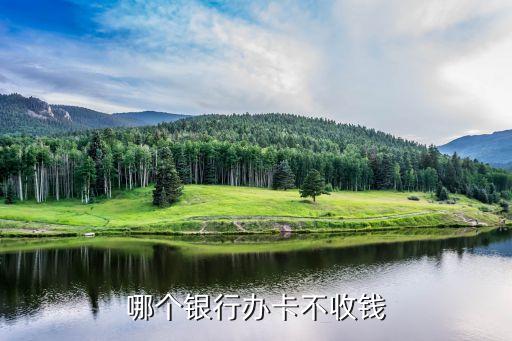什么銀行開(kāi)卡不要錢(qián)嗎，哪家銀行卡開(kāi)卡不要錢(qián)