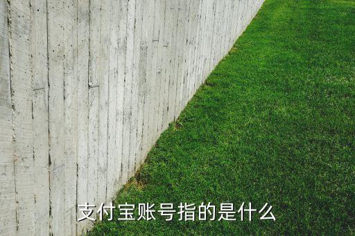 支付寶賬號指的是什么