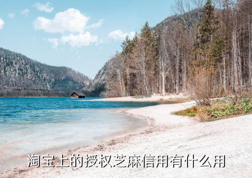 芝麻信用權(quán)限做什么，拍拍貸里面芝麻信用授權(quán)是什么