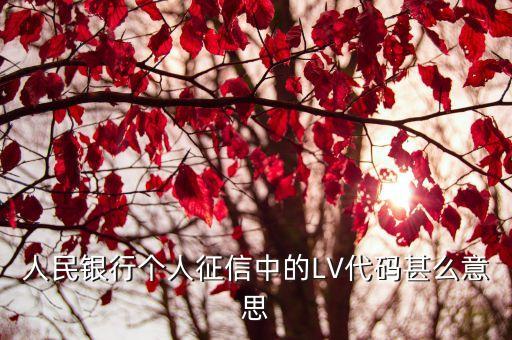 人民銀行個(gè)人征信中的LV代碼甚么意思