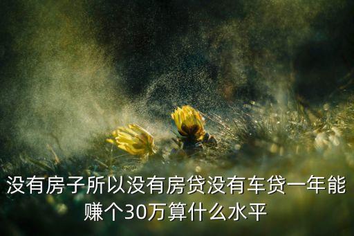 沒有房子所以沒有房貸沒有車貸一年能賺個30萬算什么水平