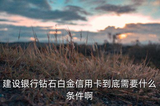 建設(shè)銀行鉆石白金信用卡到底需要什么條件啊