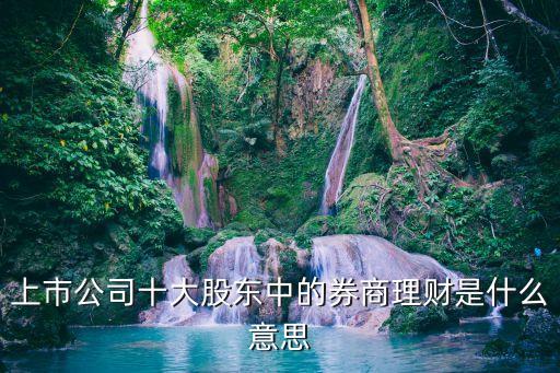 上市公司十大股東中的券商理財(cái)是什么意思