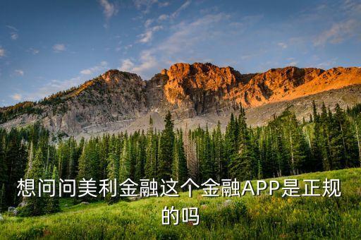 美利金融什么性質(zhì)，想問問美利金融這個(gè)金融APP是正規(guī)的嗎