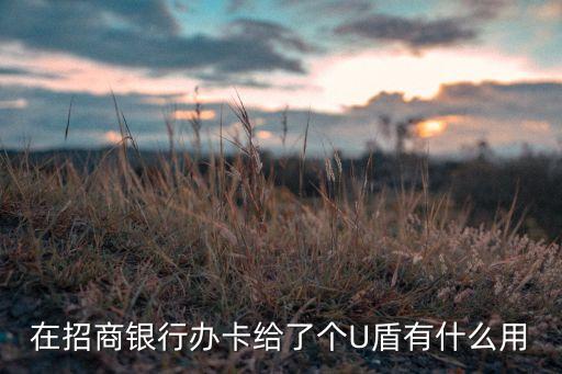 在招商銀行辦卡給了個U盾有什么用