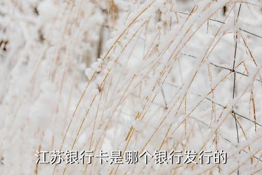 江蘇銀行卡是哪個(gè)銀行發(fā)行的