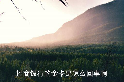 招商銀行的金卡是怎么回事啊