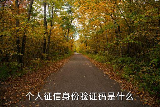 查征信要驗證碼是什么，個人征信查詢官網(wǎng)啥驗證碼啊