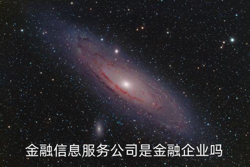金融信息服務(wù)是什么公司嗎，金融信息服務(wù)公司是金融企業(yè)嗎