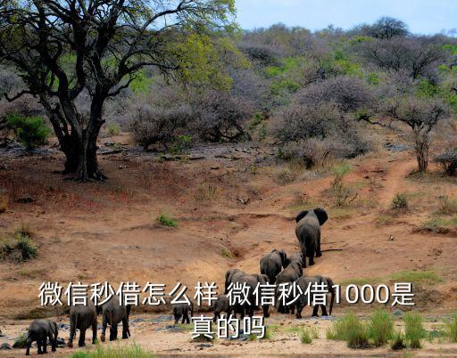 微信秒借怎么樣 微信秒借1000是真的嗎