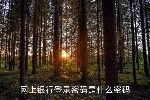 網(wǎng)銀賬戶登錄密碼是什么，網(wǎng)上銀行登錄密碼是什么密碼