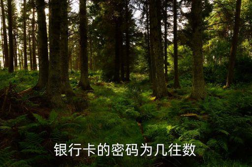 銀行卡的密碼幾位數(shù)是什么意思，銀行卡密碼是幾位數(shù)