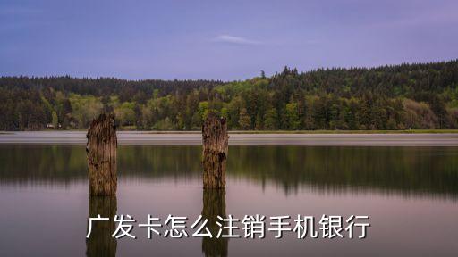 廣發(fā)卡怎么注銷手機銀行