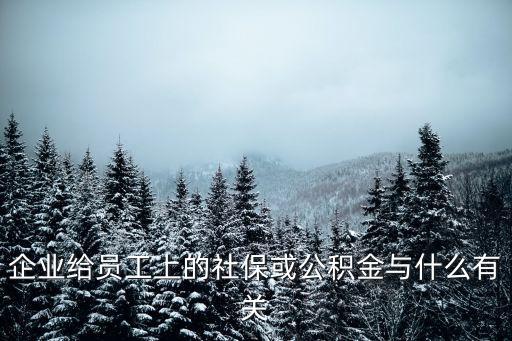 企業(yè)給員工上的社?；蚬e金與什么有關(guān)