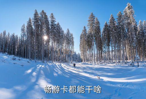 途牛暢游卡600是什么意思，暢游卡都能干啥