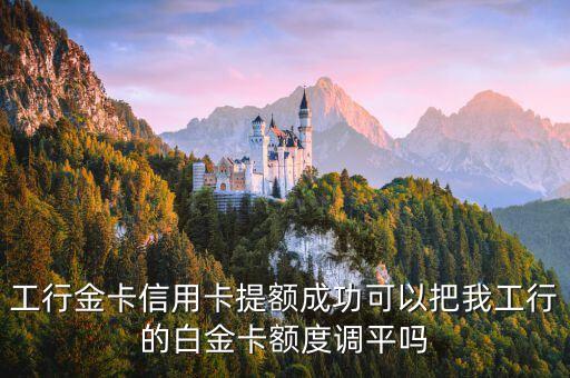 工行金卡信用卡提額成功可以把我工行的白金卡額度調(diào)平嗎