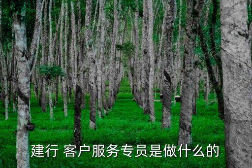 建行 客戶服務(wù)專員是做什么的