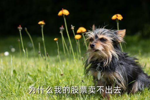 為什么我的股票賣不出去