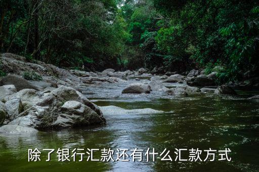 除了銀行匯款還有什么匯款方式
