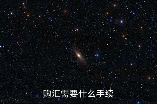 個人購匯需要什么手續(xù)，購匯需要什么手續(xù)