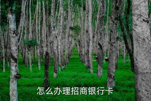 怎么辦理招商銀行卡