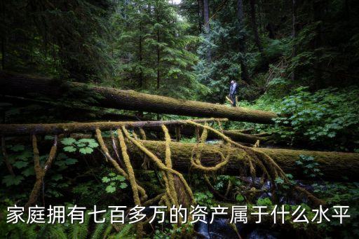 家庭擁有七百多萬(wàn)的資產(chǎn)屬于什么水平