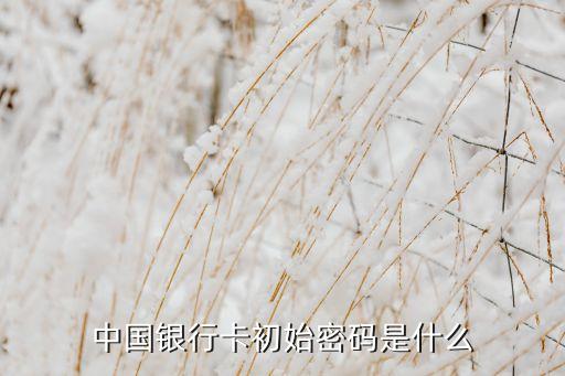 中國銀行卡初始密碼是什么