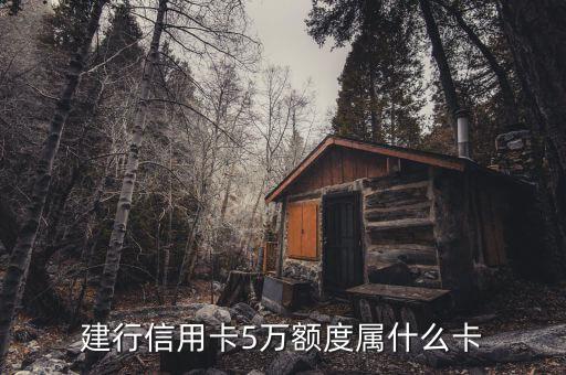 建行信用卡5萬額度屬什么卡