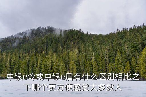 中銀e令或中銀e盾有什么區(qū)別相比之下哪個(gè)更方便感覺大多數(shù)人