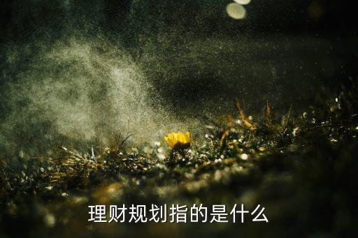 理財規(guī)劃指的是什么