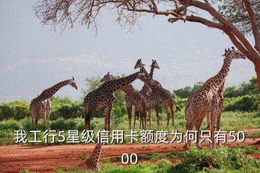 為什么我的信用卡限額為5000元，廣發(fā)信用卡三萬的額度為什么只能用五千