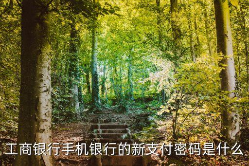 手機(jī)銀行開通工行e支付密碼是什么，如何開通工行手機(jī)銀行中的一鍵支付