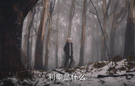利率是什么
