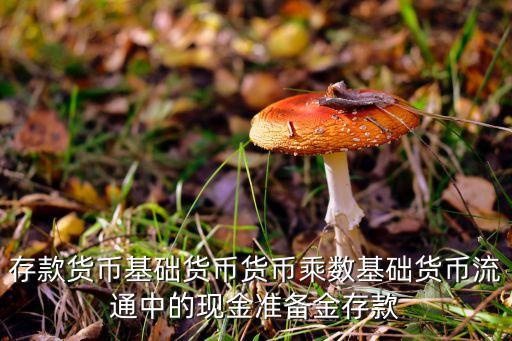 存錢等于什么，存款貨幣基礎(chǔ)貨幣貨幣乘數(shù)基礎(chǔ)貨幣流通中的現(xiàn)金準(zhǔn)備金存款
