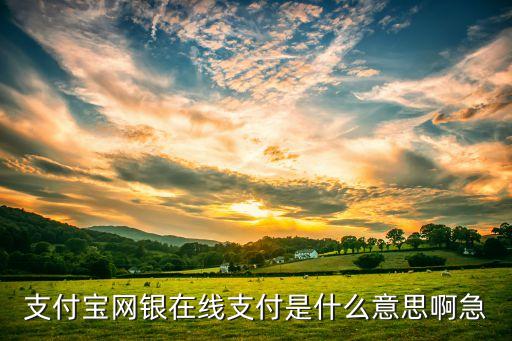支付寶 支持網(wǎng)銀支付是什么意思，什么是網(wǎng)銀支付支付寶銀行轉帳