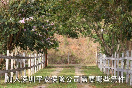 加入深圳平安保險(xiǎn)公司需要哪些條件
