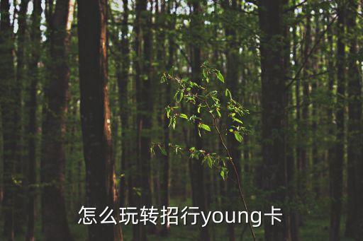 怎么玩轉招行young卡