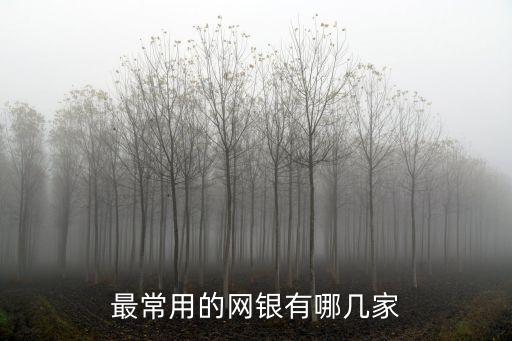 最常用的網(wǎng)銀有哪幾家