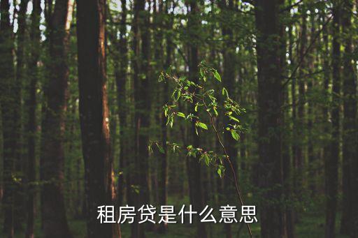 租賃貸是什么意思，請(qǐng)問網(wǎng)上看到房孑出租后面加個(gè)租房貸是什么意思
