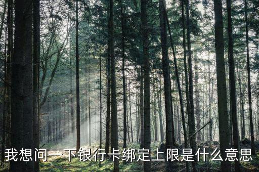 我想問一下銀行卡綁定上限是什么意思