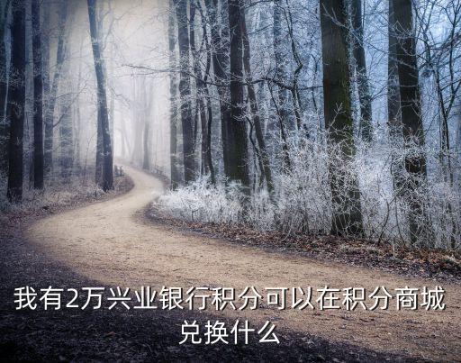 興業(yè)銀行積分 換什么資料，興業(yè)銀行信用卡積分兌換怎么換