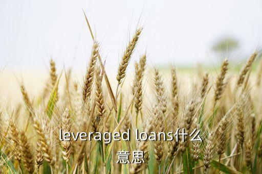 leveraged loans什么意思
